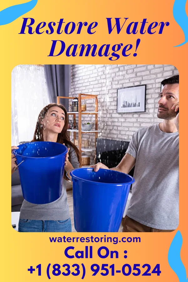 water restoration Stellar Emergency Restoration Experts Chatfield