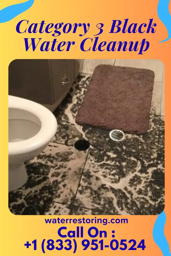 Category 3 Black Water Cleanup in Chatfield, OH