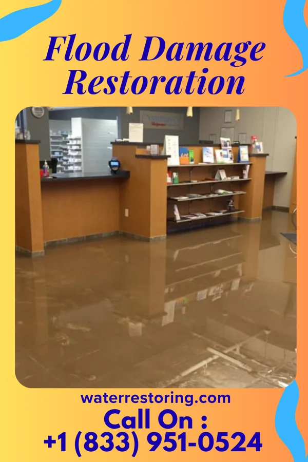 Flood Damage Restoration in Chatfield, OH