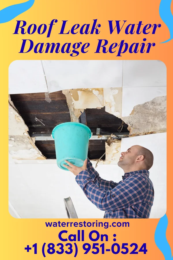 Roof Leak Water Damage Repair in Chatfield, OH