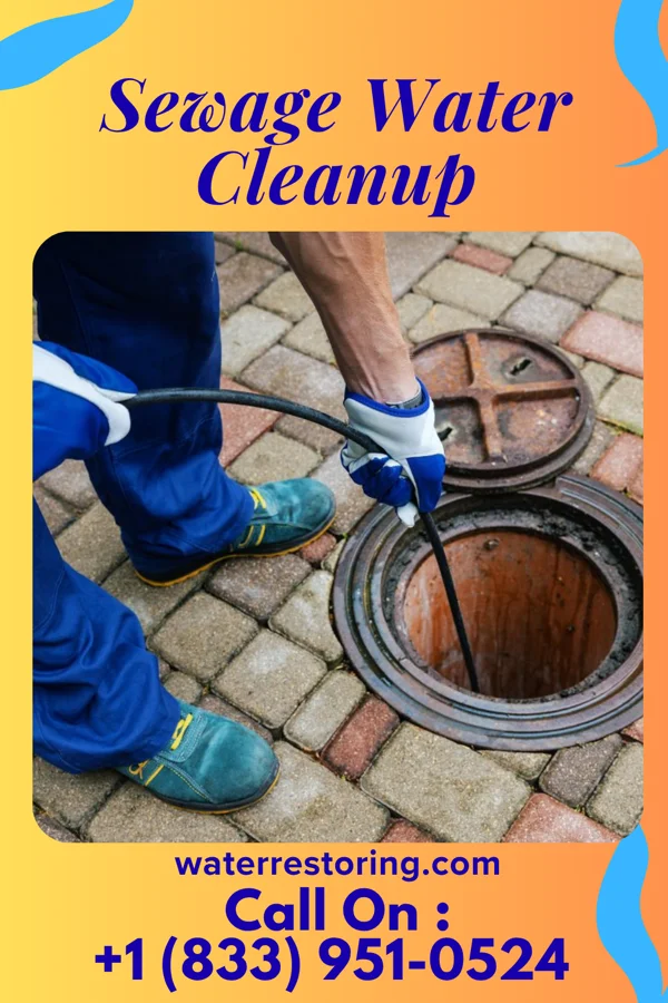 Sewage Water Cleanup in Chatfield, OH