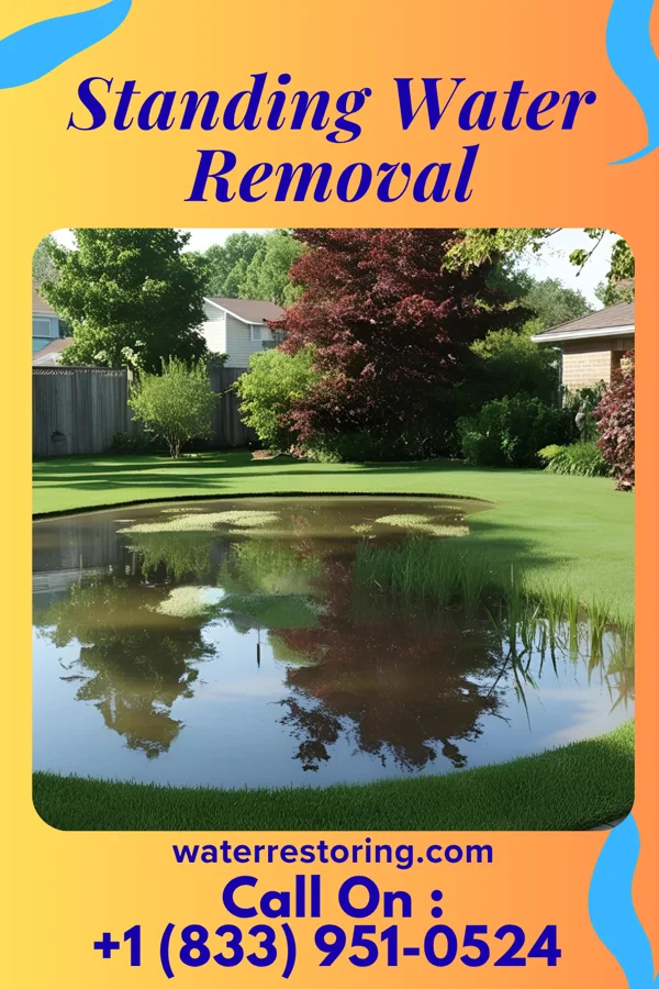 Standing Water Removal in Chatfield, OH